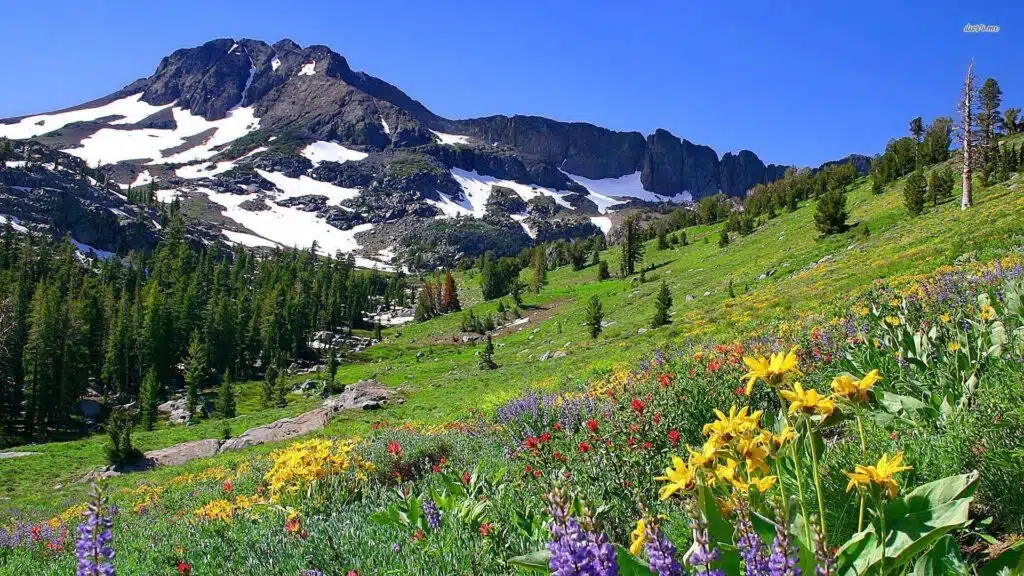 location2alpes-montagne-station-les2alpes-été