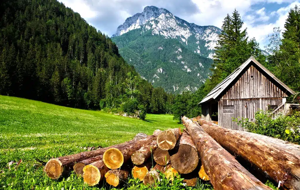 A scenic view of a wooden cabin against lush mountains and forest.