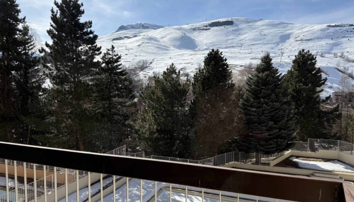 Les-2-alpes-alpina1-01S01-29