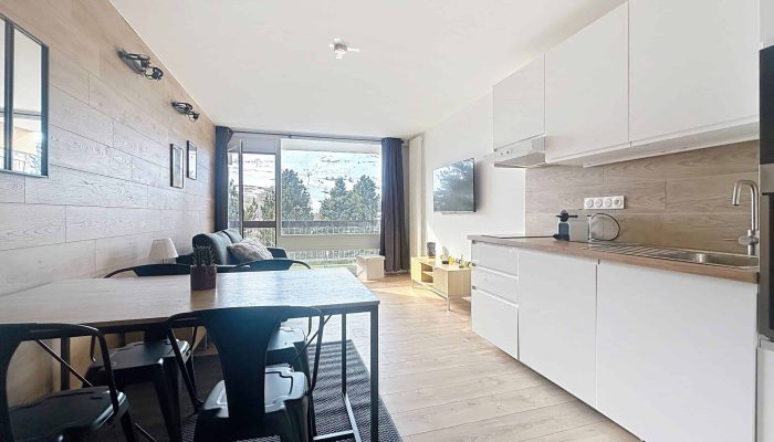 Les-2-alpes-alpina2-01S02-18